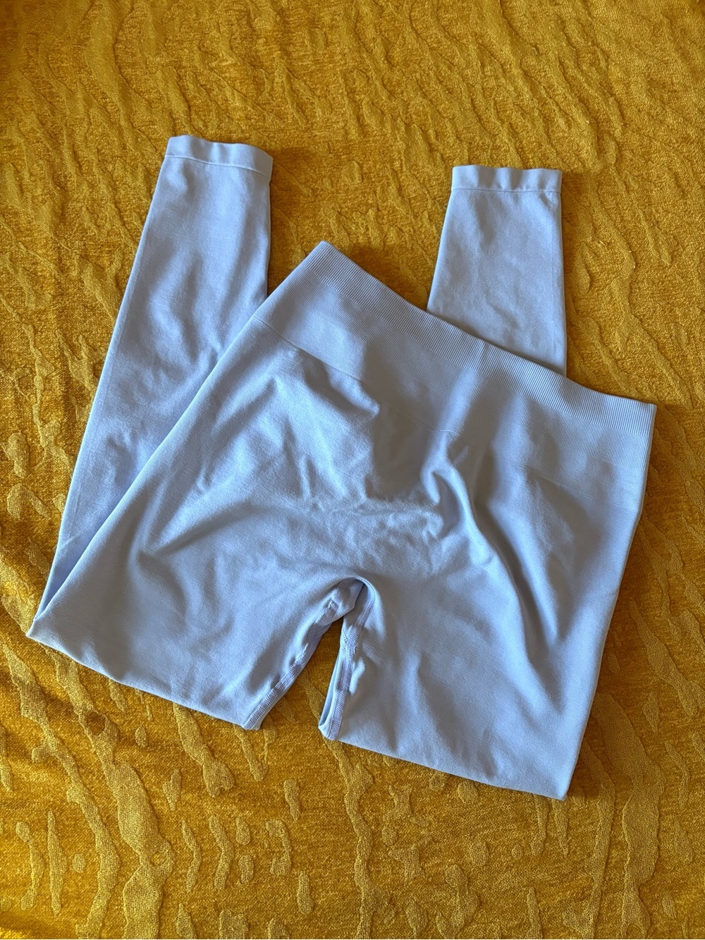 Alphalete Women’s Baby Blue Leggings